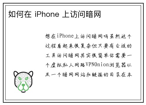 如何在 iPhone 上访问暗网 