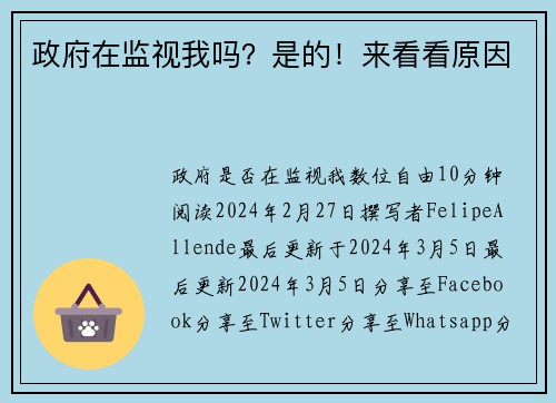 政府在监视我吗？是的！来看看原因